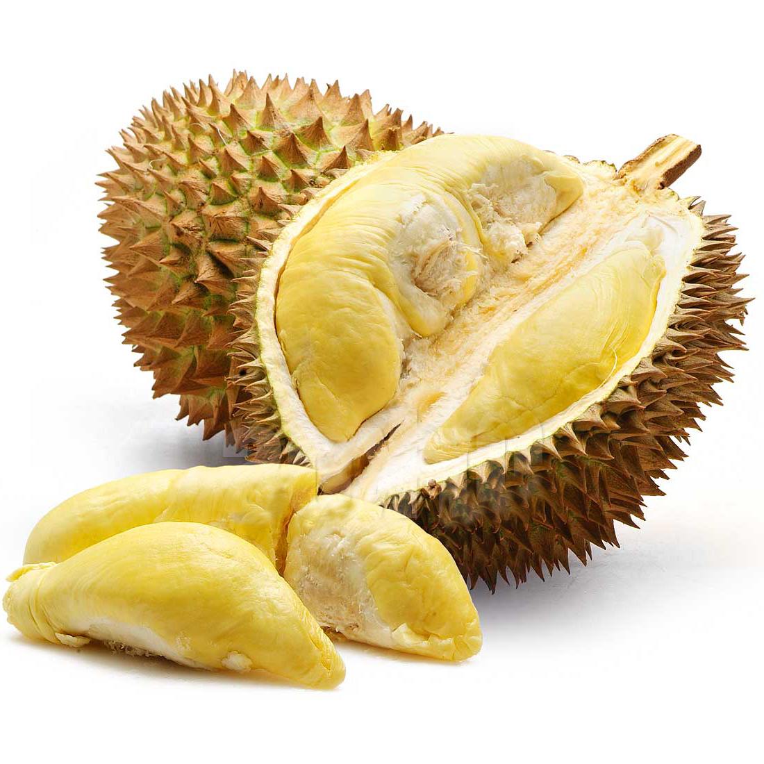 Makanan Yang Tidak Dapat Dikonsumsi Bersamaan Dengan Durian