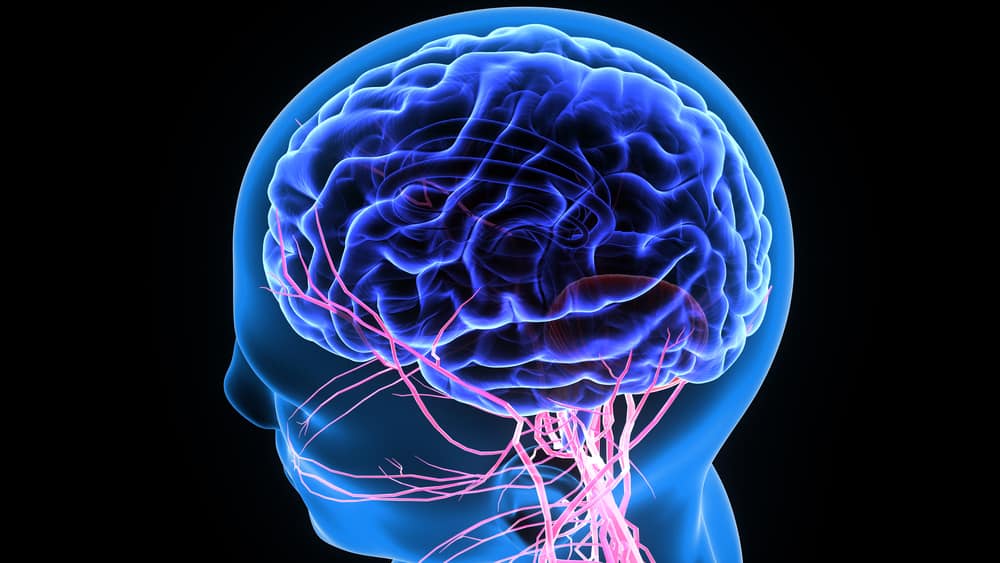 Tips Menjaga Kesehatan Otak Yang Mudah Dilakukan